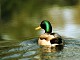 Impressionen_18